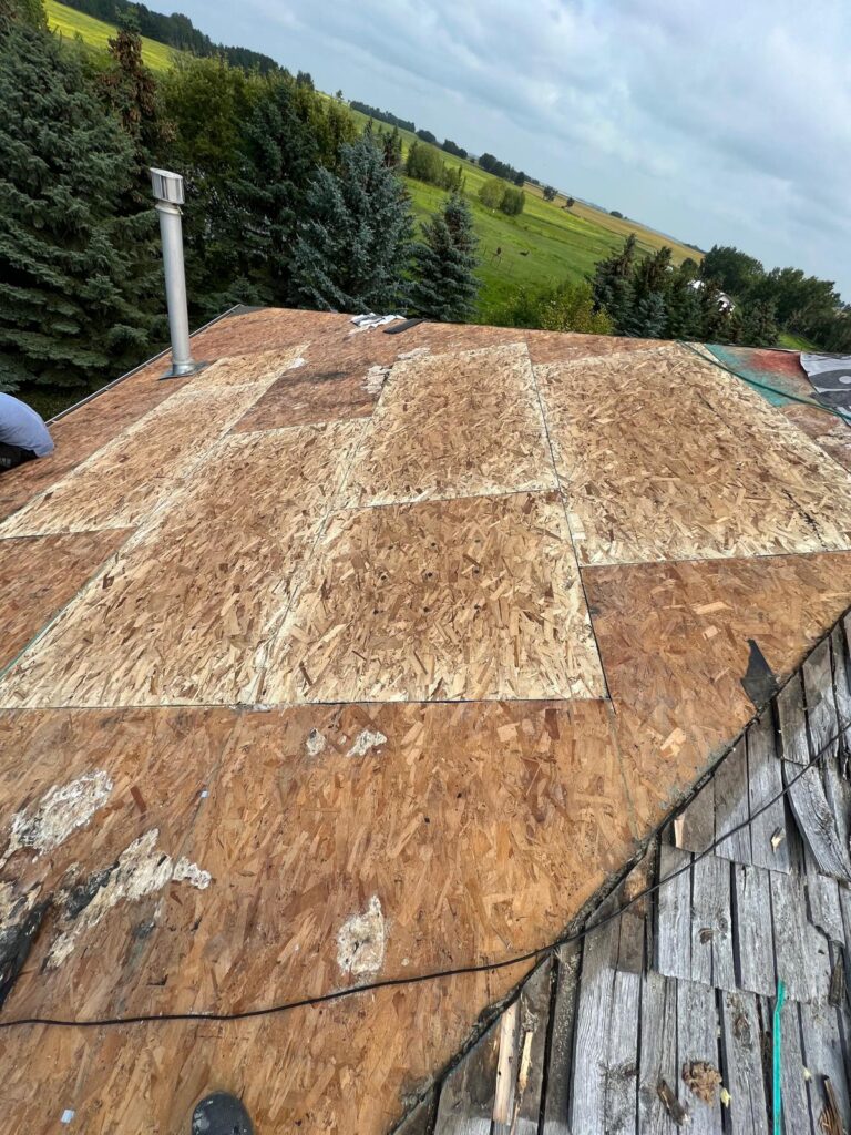 replacing roof deck sheathing post water damage restoration to old cedar roof